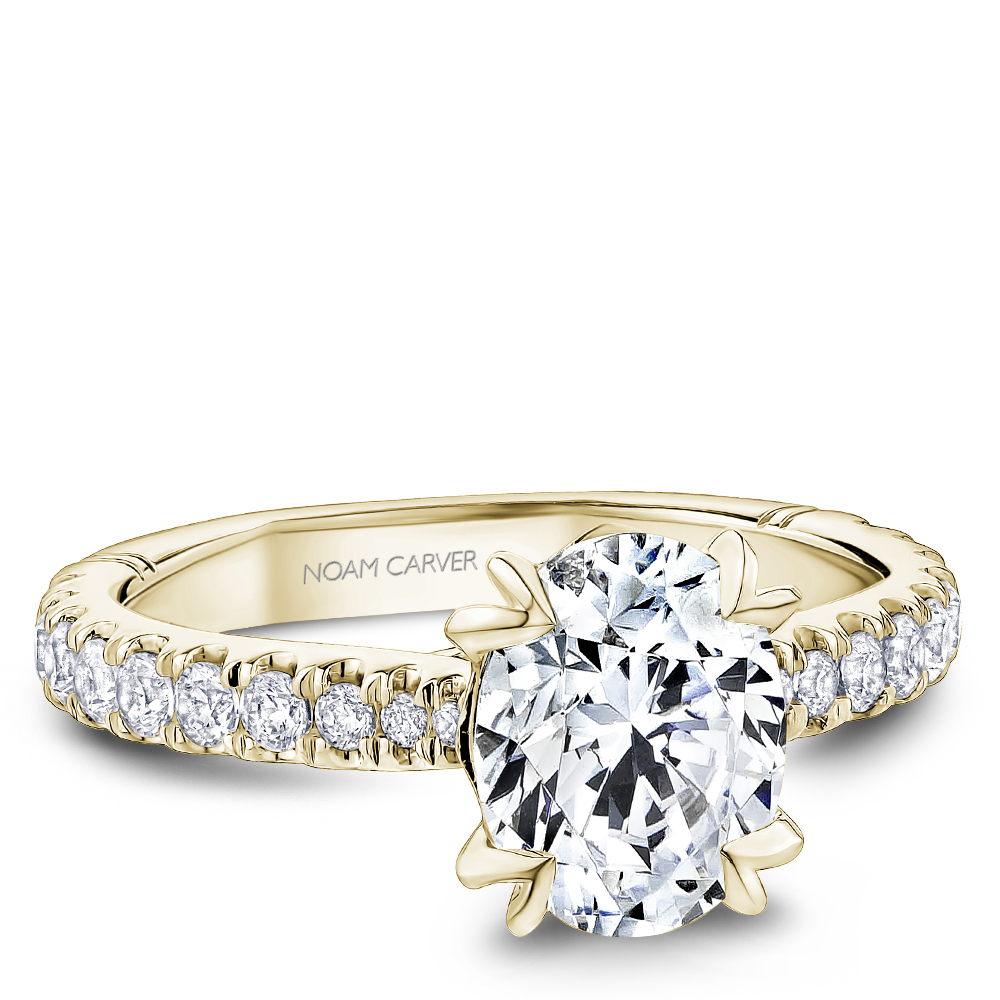 A009-02YM-FCYA - Engagement Rings