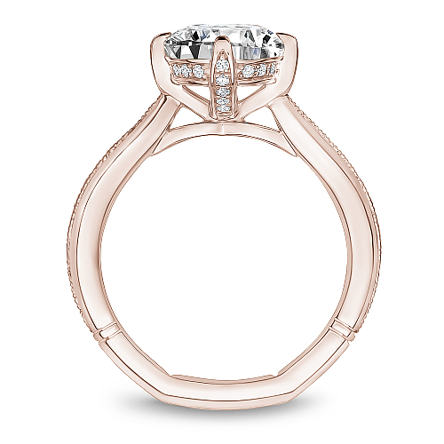 Engagement Rings - A013-01RM-FCYA