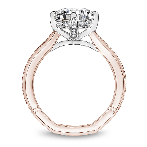 Engagement Rings - A013-01RWM-FCYA