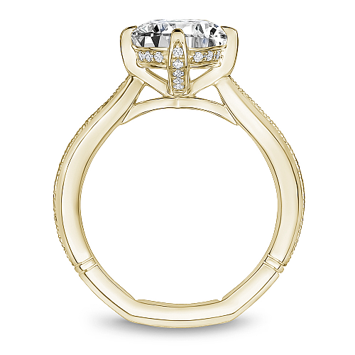 Engagement Rings - A013-01YM-FCYA