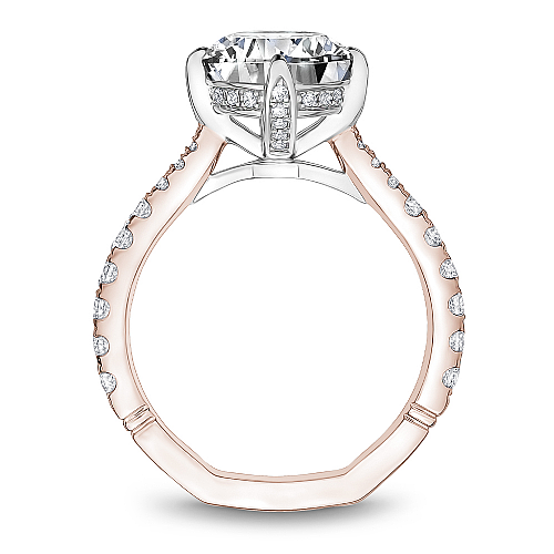 Engagement Rings - A014-01RWM-FCYA